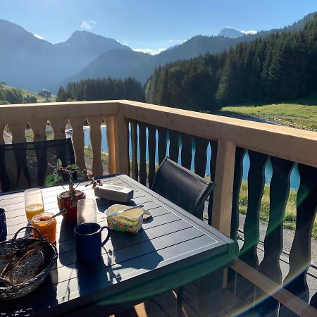 Chalet Proche Morzine Et Lac Leman Wifi Offert Le Biot 外观 照片