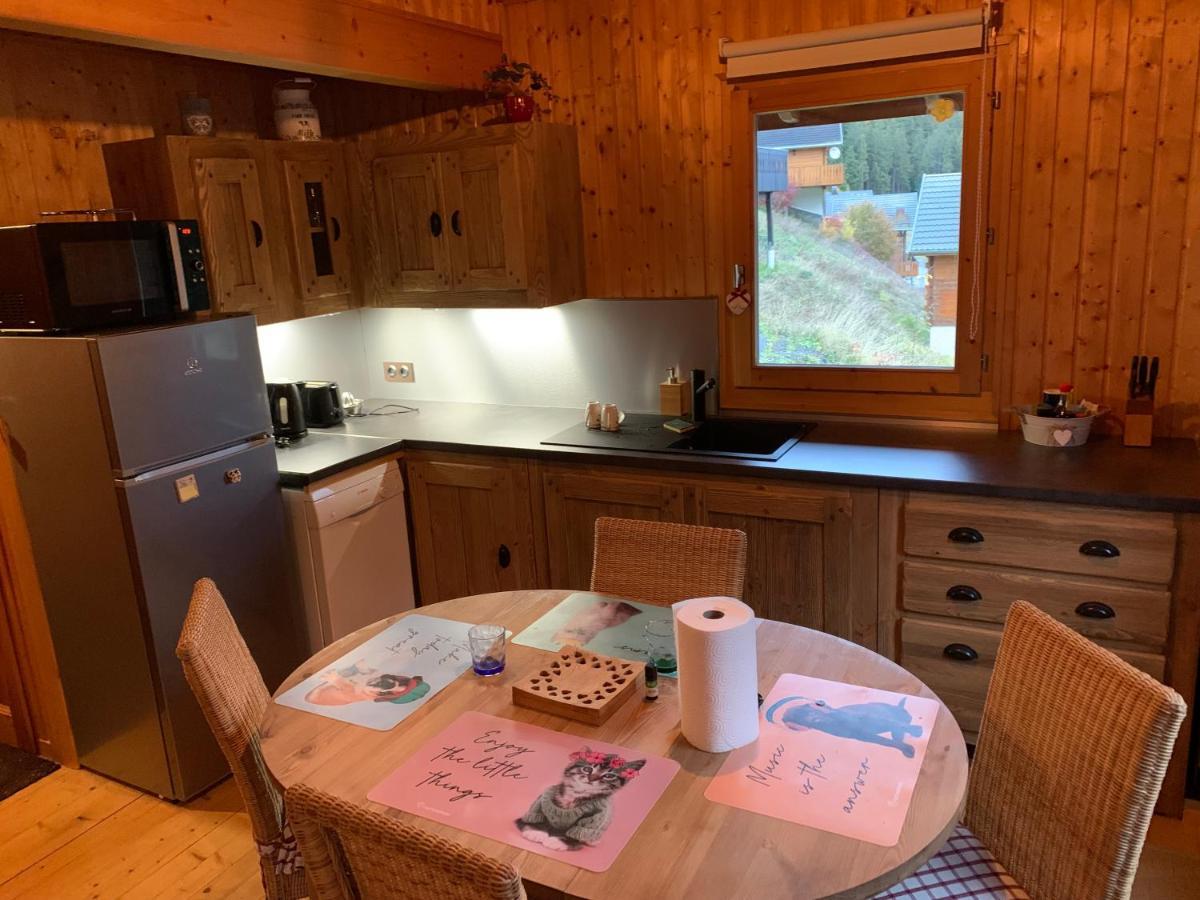 Chalet Proche Morzine Et Lac Leman Wifi Offert Le Biot 外观 照片